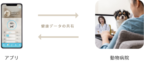 獣医師へ相談