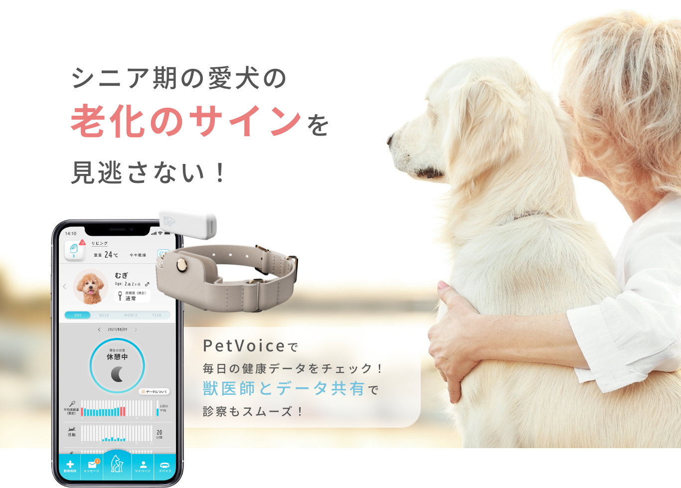 シニア期の愛犬の老化のサインを見逃さない!