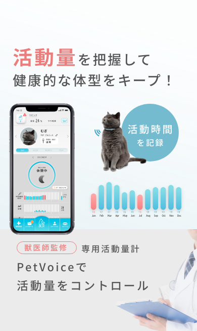 活動量を把握して健康的な体型をキープ!