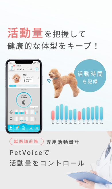 活動量を把握して健康的な体型をキープ!