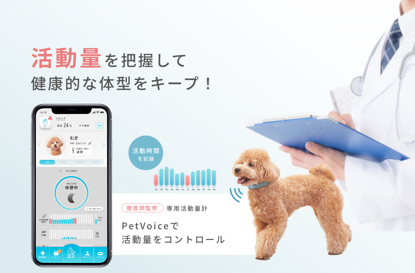 活動量を把握して健康的な体型をキープ!