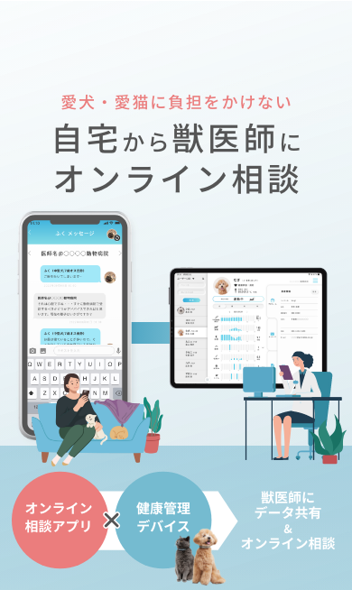 自宅から獣医師にオンライン相談