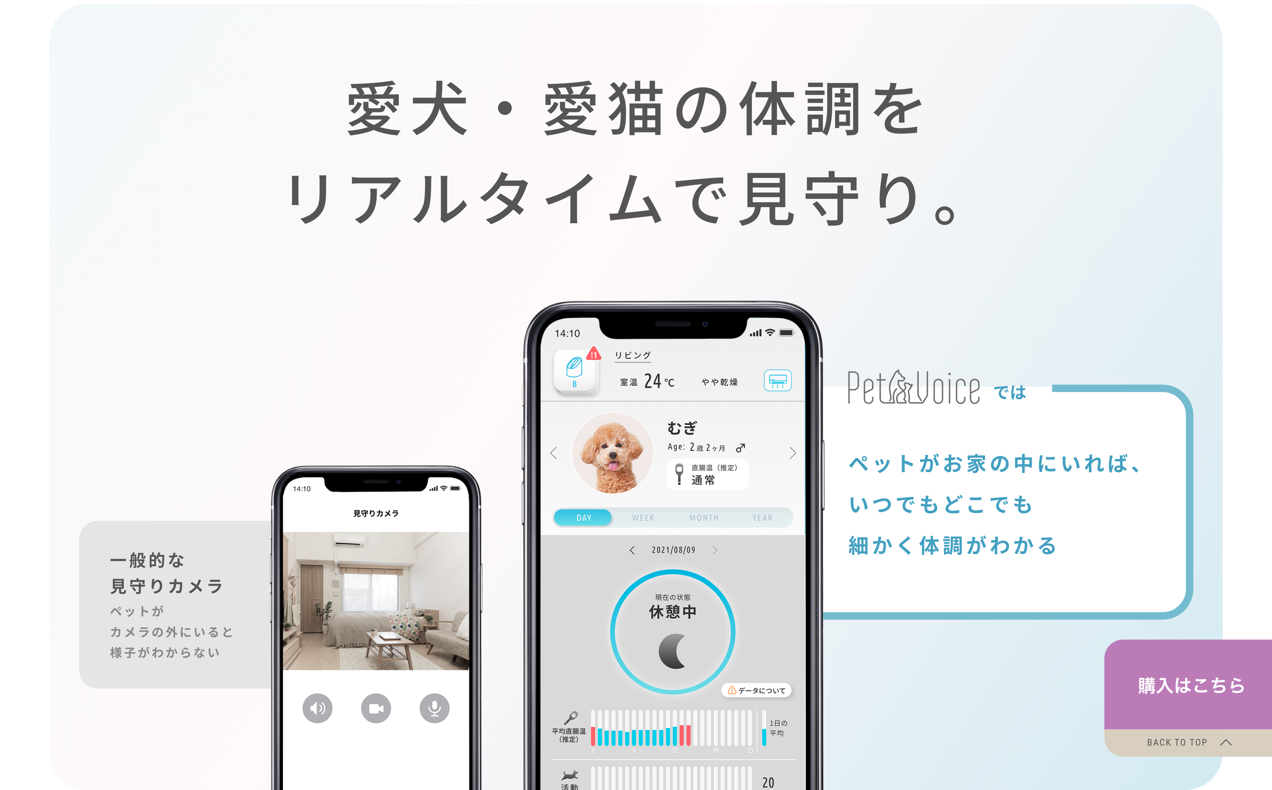 体調をリアルタイムで見守り