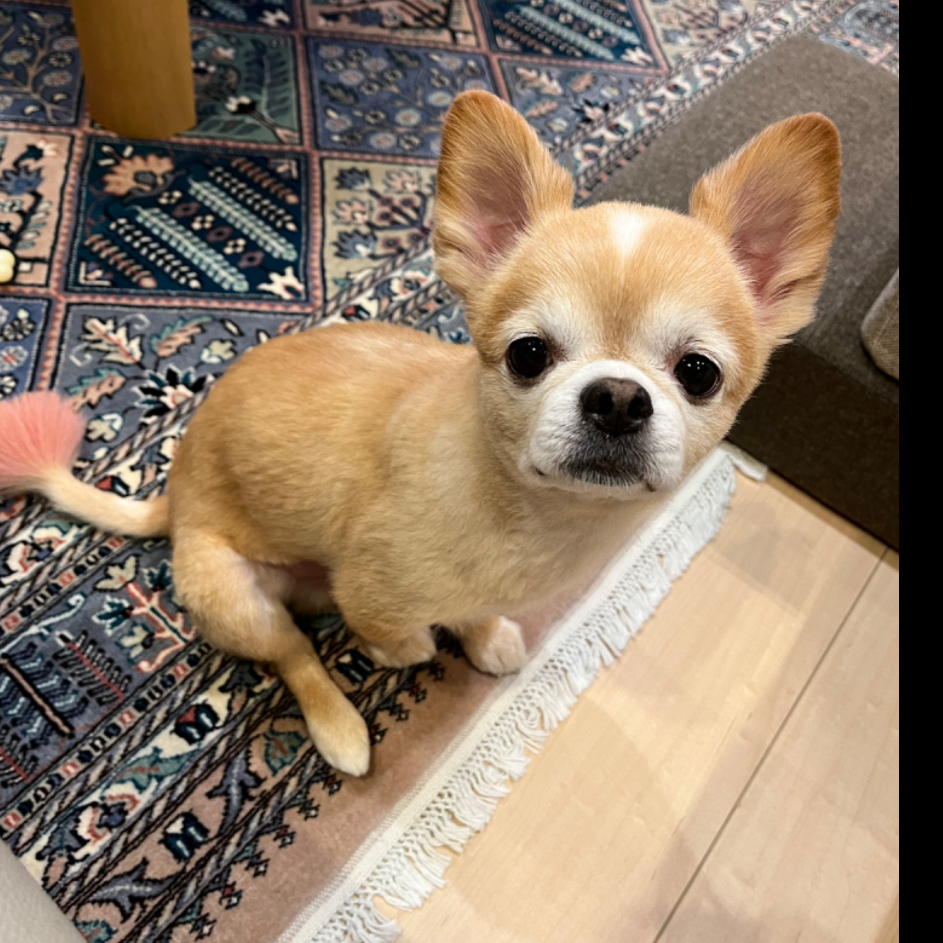 来夢ちゃん