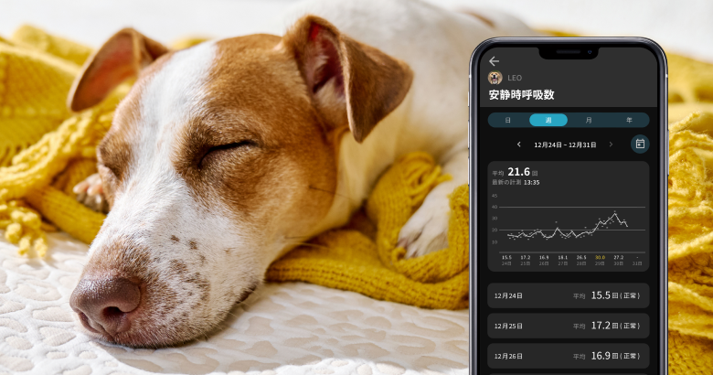 通知機能イメージ