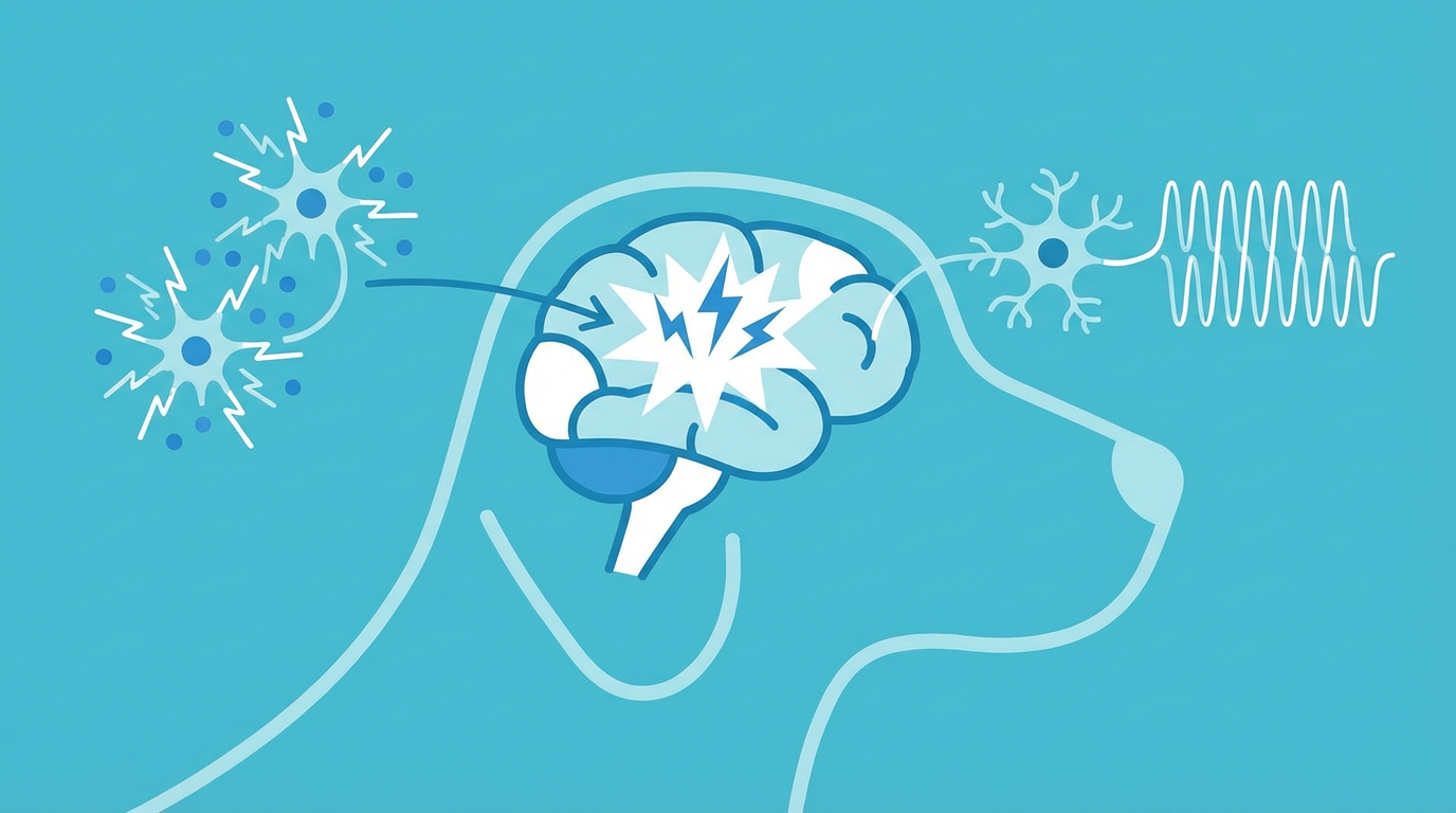 犬の脳とてんかんのメカニズムを示す医学的イラスト