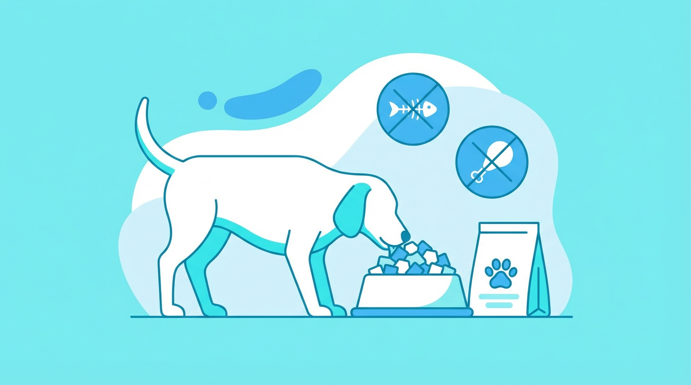 腎臓病の治療のイラスト